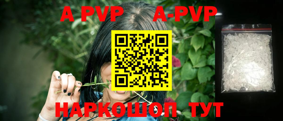 A PVP СК Ржев