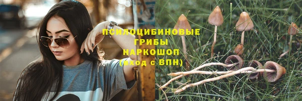 круглые Магадан