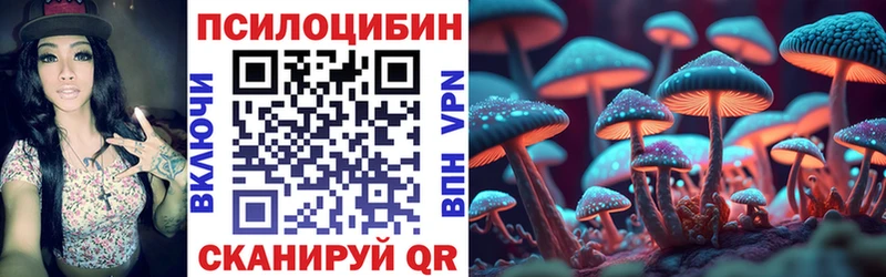 ссылка на мегу ТОР  Ржев  Галлюциногенные грибы MAGIC MUSHROOMS  где найти наркотики 