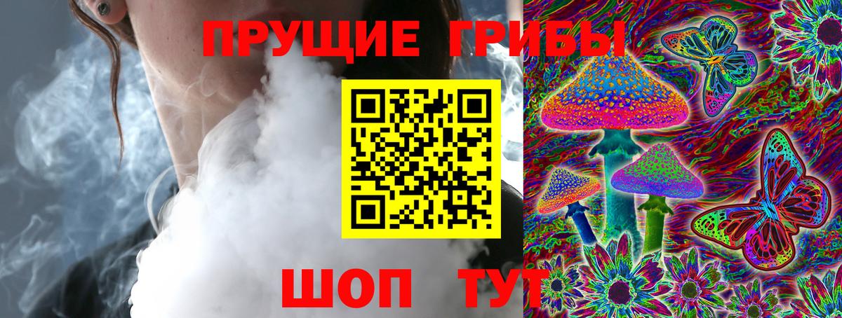 Ржев  Псилоцибиновые грибы Psilocybine cubensis  Вход с VPN 